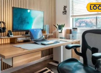 करते हैं वर्क फ्रॉम होम या घर में भी है ऑफिस तो ये वास्तु टिप्स दसों दिशाओं से दिलाएंगी तरक्की!