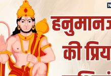 हनुमान जयंती पर जानें बजरंगबली की प्रिय राशियां के बारे में, हर परिस्थिति में करते हैं इनकी रक्षा