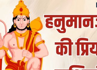 हनुमान जयंती पर जानें बजरंगबली की प्रिय राशियां के बारे में, हर परिस्थिति में करते हैं इनकी रक्षा