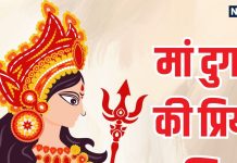 Chaitra Navratri 2025: मां भवानी की इन राशियों पर हमेशा बनी रहती है कृपा, जानें मां दुर्गा की प्रिय राशियां