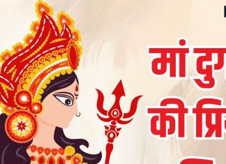 Chaitra Navratri 2025: मां भवानी की इन राशियों पर हमेशा बनी रहती है कृपा, जानें मां दुर्गा की प्रिय राशियां
