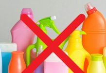 Cancer Survivor Lists 6 toxic Things Must Avoid : कैंसर सर्वाइवर ने बताया 6 चीजों से बनाएं दूरी, जिंदगी बनेगी आसान