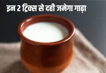 घर पर दही नहीं जमता परफेक्ट, ये 2 आसान तरीके आजमाएं, लोग आपसे पूछेंगे गाढ़ा और थक्केदार Curd जमाने का सीक्रेट