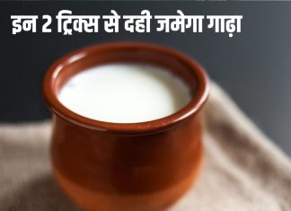 घर पर दही नहीं जमता परफेक्ट, ये 2 आसान तरीके आजमाएं, लोग आपसे पूछेंगे गाढ़ा और थक्केदार Curd जमाने का सीक्रेट