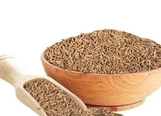 B12 के लिए अब न मछली चाहिए, न अंडा, ये देसी मसाला है शाकाहारियों का सुपरफूड, जानें सेवन का सही तरीका