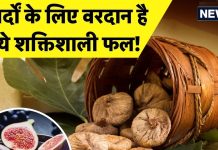 मर्दों के लिए बेमिशाल है यह ‘शक्तिशाली फल’! 25 से 30 दिन सेवन करके तो देखें, सुखमय हो जाएगी शादीशुदा जिंदगी
