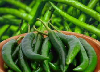 Health Benefits of Green Chili Hari Mirch Khane Ke Fayde : सेहत के लिए बेहद कमाल है हरी मिर्च, फायदे कर देंगे हैरान