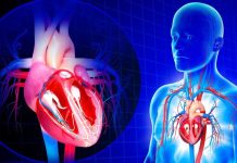 युवाओं के दिल पर हार्ट से जुड़ी बीमारियों का बढ़ रहा खतरा! ये 5 बड़े कारण बन रहे जिम्मेदार, रिसर्च में खुलासा