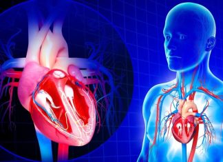 युवाओं के दिल पर हार्ट से जुड़ी बीमारियों का बढ़ रहा खतरा! ये 5 बड़े कारण बन रहे जिम्मेदार, रिसर्च में खुलासा