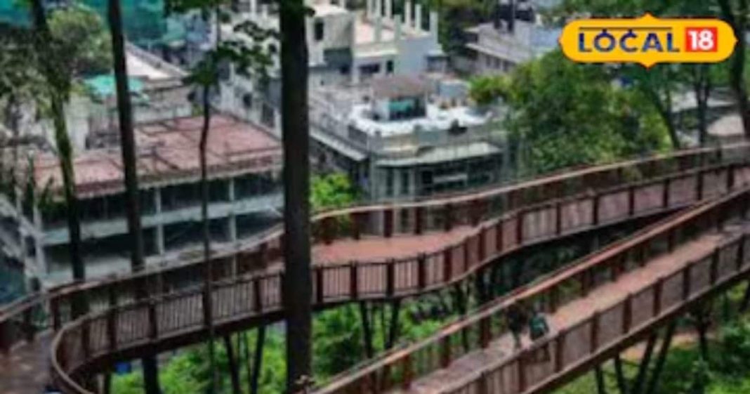 485 मीटर हवा में लटकती लकड़ी की राह! यहां कदम रखा तो दिल कहेगा – ये मुंबई है या जन्नत का कोई दरवाजा?