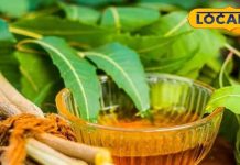 महंगे टूथपेस्ट नहीं ये कड़वी चीज है रामबाण!प्लाक साफ,मसूड़े मजबूत और बदबू गायब