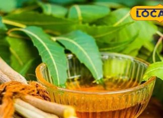 महंगे टूथपेस्ट नहीं ये कड़वी चीज है रामबाण!प्लाक साफ,मसूड़े मजबूत और बदबू गायब