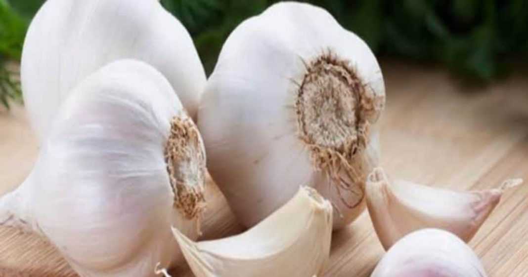 फोटोग्राफी छोड़ बना किसान, ‘अचार मेन’ के नाम से बनाई नई पहचान, लहसुन से कर रहे लाखों की कमाई