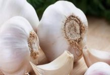 फोटोग्राफी छोड़ बना किसान, ‘अचार मेन’ के नाम से बनाई नई पहचान, लहसुन से कर रहे लाखों की कमाई