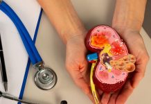 किडनी को स्ट्रॉन्ग बनाती हैं ये 5 सस्ती चीजें! डाइट में शामिल करने से होगा लाभ