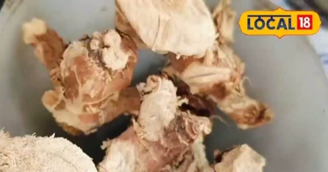 सूखे अदरक सी दिखने वाली ये जड़ी बूटी है वरदान, पेट से लेकर चेहरे तक की हर प्रॉब्लम को कर देगी छूमंतर