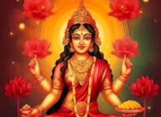Astro Tips: मां लक्ष्मी को प्रसन्न करने के लिए करें ये उपाय, बनी रहेगी सुख-समृद्धि