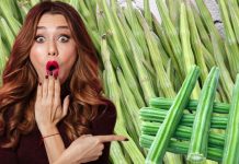 इन 4 लोगों के लिए जहर से कम नहीं सहजन ! भूलकर भी न करें सेवन, वरना…