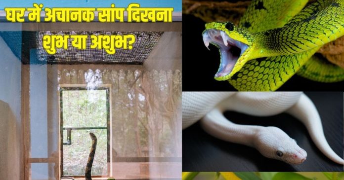 snake-appearing-in-house-is-auspicious-or-inauspicious-2025-04-140d11240771d79425845642cc11c232-16x9.jpg