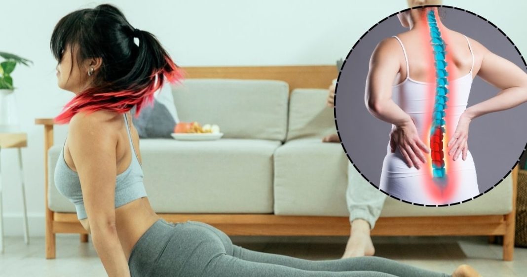 Yoga For Back Pain: कमर दर्द से हो रहीं परेशानी? महिलाएं रोज करें 5 योगाभ्यास, Back Pain से मिलेगी छुट्टी