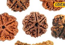 आप भी धारण करना चाहते हैं रुद्राक्ष, तो जान लें ये नियम, वरना आ सकती है मुसीबत