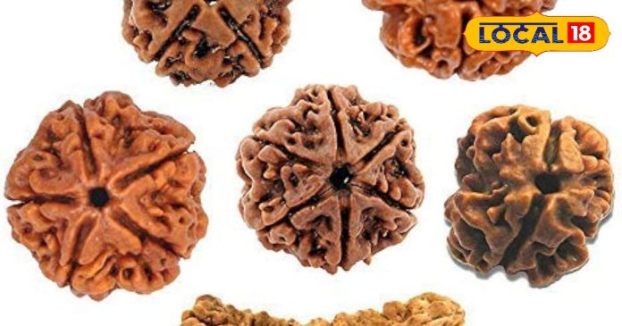 आप भी धारण करना चाहते हैं रुद्राक्ष, तो जान लें