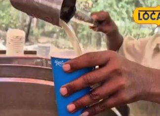 Summer Drink: चिलचिलाती गर्मी में शिकंजी से पाएं न सिर्फ ठंडक, बल्कि सेहत भी! जानिए इसके लाजवाब फायदे