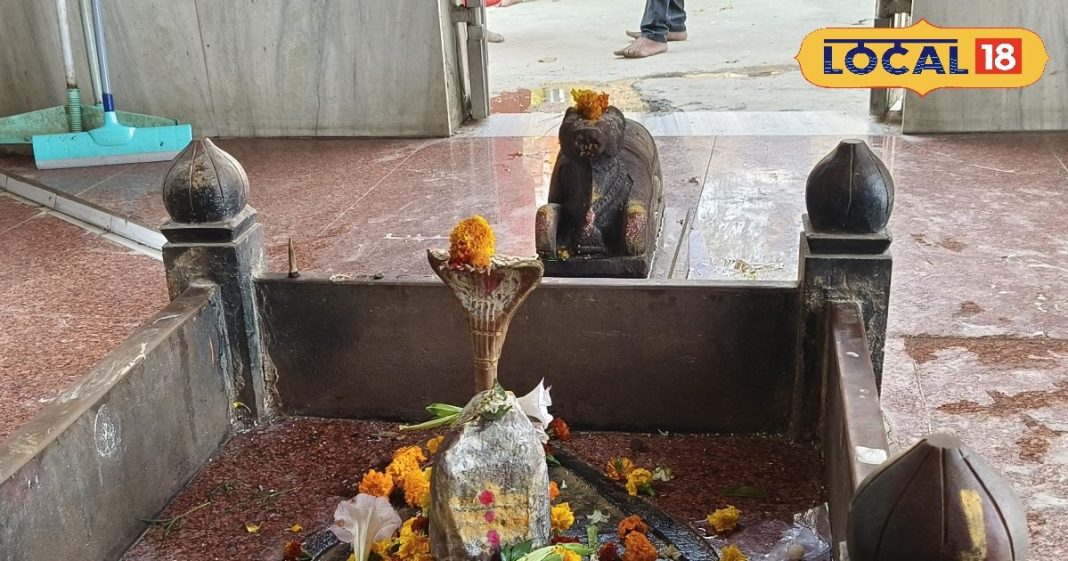 ऐसा शिवलिंग जिसके सामने औरंगजेब हुआ नतमस्तक, सेना ने किया हमला तो टूट पड़ी मधुमक्खियां