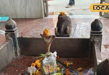 ऐसा शिवलिंग जिसके सामने औरंगजेब हुआ नतमस्तक, सेना ने किया हमला तो टूट पड़ी मधुमक्खियां