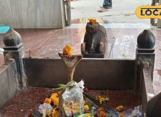 ऐसा शिवलिंग जिसके सामने औरंगजेब हुआ नतमस्तक, सेना ने किया हमला तो टूट पड़ी मधुमक्खियां