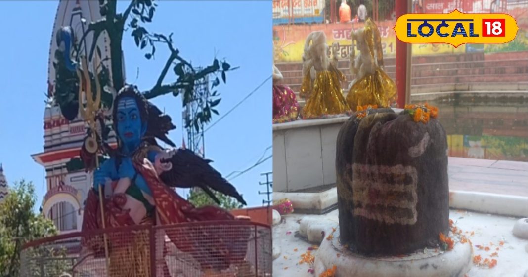 कब है साल का पहला प्रदोष व्रत? ऐसे करें पूजा, परेशानियां हो जाएंगी खत्म, मिलेंगे चमत्कारी लाभ