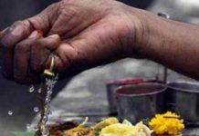 क्या है पितृ दोष? कुंडली में कैसे होता है इसका निर्माण? एक्सपर्ट से जानें इससे राहत पाने के उपाय