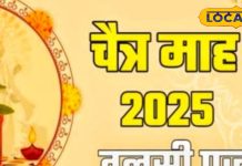 महिला या पुरुष..चैत्र पूर्णिमा पर भूलकर भी न करें घर की तुलसी से जुड़ी ये 5 गलतियां, आ जाएंगी अलक्ष्मी!