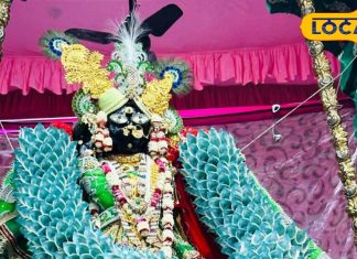 वृंदावन से पहले कहां-कहां बांके बिहारी जी ने दिए भक्तों को दर्शन, नहीं जानते होंगे आप!