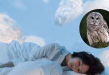 सपने में उल्लू को चिल्लाते या उड़ते देखना आम बात नहीं! जीवन के कई पहलुओं को करता है प्रभावित! जानें क्या कहता है स्वप्न शास्त्र