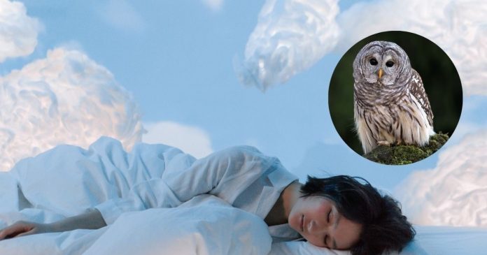 सपने में उल्लू को चिल्लाते या उड़ते देखना आम बात