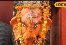 30 साल पहले…यहां शमी के पेड़ में प्रगट हो गए थे भगवान गणेश, एक साल के अंदर पूरी करते हैं मन्नत!