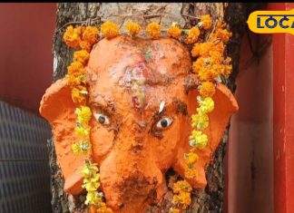 30 साल पहले…यहां शमी के पेड़ में प्रगट हो गए थे भगवान गणेश, एक साल के अंदर पूरी करते हैं मन्नत!