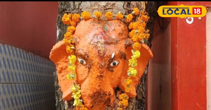 30 साल पहले...यहां शमी के पेड़ में प्रगट हो गए