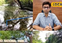 Kevladev National Park: प्रकृति की गोद में लौटी हरियाली…परिंदों को मिला नया ठिकाना, चहचहाहट से गूंजा जंगल