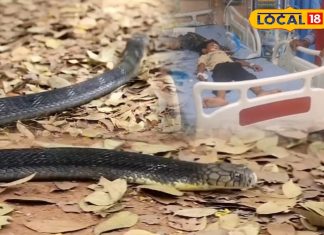 क्या आपके घर भी दस्तक दे रहा है ये जानलेवा मेहमान? – Bharat.one हिंदी