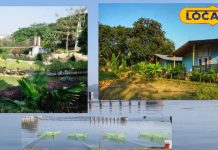 आशिकों के लिए बेस्ट है रांची की ये 3 रोमांटिक प्लेस, कपल बिताएं मस्त क्वालिटी टाइम, यहां रिश्तेदारों का भी पहुंचना है नामुंकिन – Jharkhand News