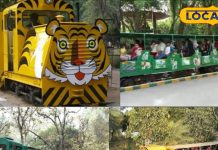 Hyderabad’s Nehru Zoological Park will get more thrills with the arrival of a new eco-friendly electric toy train – Rajasthan News