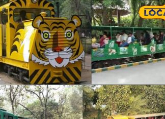 Hyderabad’s Nehru Zoological Park will get more thrills with the arrival of a new eco-friendly electric toy train – Rajasthan News