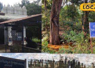 पहाड़ों की गोद में जन्म लेती मूसी…अनंतगिरी की वादियों से निकलती हैदराबाद की जीवनरेखा की कहानी, देखें सफर