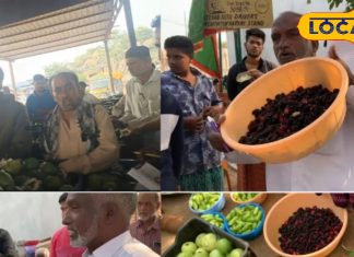 Hyderabad News: अनार, अंजीर, अमरूद और रहस्य… बरकास की नीलामी में छुपा है हैदराबाद का पुराना अरब इतिहास!