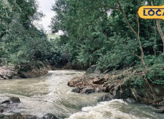 गोड्डा के नारायपुर वॉटरफॉल का बढ़ा जलस्तर, लोगों को दीवाना बना रहा खूबसूरत नजारा, सोशल मीडिया पर फ़ोटो वायरल