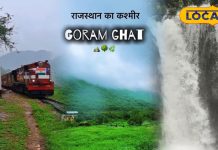 जंगल की सैर, झरनों का नजारा और नाइट स्टे… वन विभाग का मानसून गिफ्ट, मात्र इतने में करें ग्रैंड इको टूर!