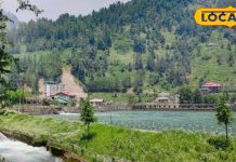 बरोट घाटी: ऊहल नदी और देवदार के जंगलों के बीच बसा हिमाचल का स्वर्ग, जहां ट्राउट मछली और एडवेंचर एक्टिविटीज हैं खास आकर्षण