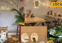 Ajab Gajab: दिल को छू लेगा ये अनोखा कैफे…हैदराबाद का कैफ़े बना खुशियों की नई चाबी, जानें कैसे